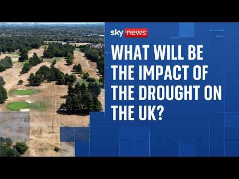 No end in sight to drought conditions as July becomes England's driest month on record
