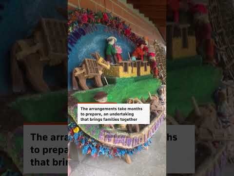 Colombian farming family carry on traditions at flower festival