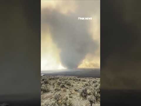 Massive 'FIRENADO' caught on camera as wildfires RAGE #shorts #us #news #foxnews #usnews