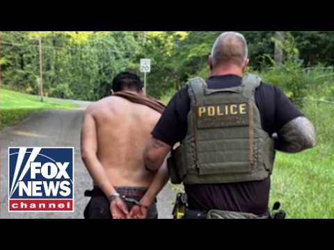ICE arrests over 1,200 illegal migrants in Georgia operation