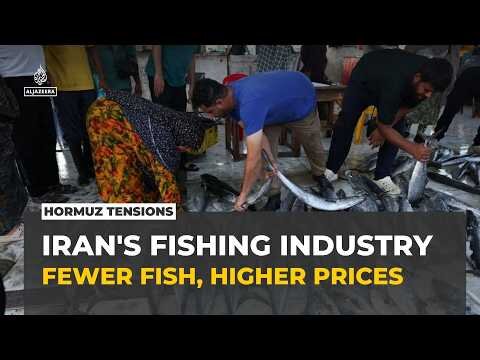Iran's fishermen caught between sanctions and Strait of Hormuz tensions