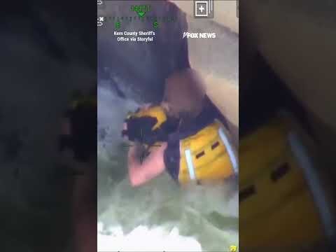 Woman swept away by river found dangling over cliff #foxnews #news #us #fox