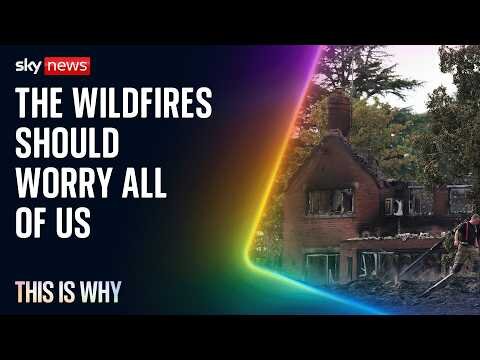 We should all be worried about the UK's wildfires. This Is Why.