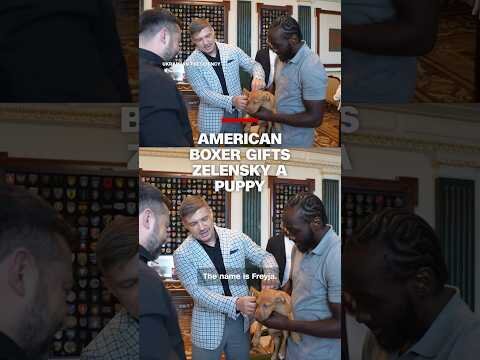 American boxer gifts Zelensky a puppy
