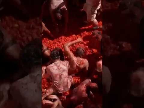 Revelers toss tomatoes at Spain's La Tomatina festival