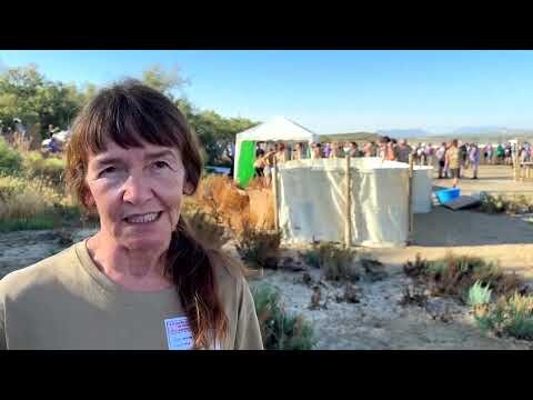 Conservationists tag 600 flamingo chicks in Spanish lagoon