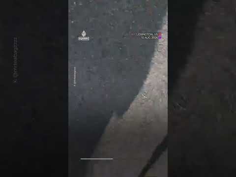 Live video captures panic as gunman opens fire at park in Kentucky