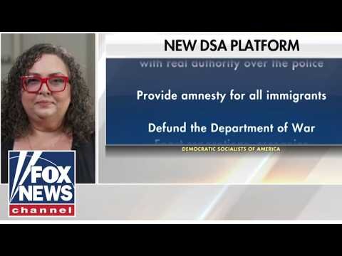 THIS IS INSANE': Hosts STUNNED by DSA official's radical ideas