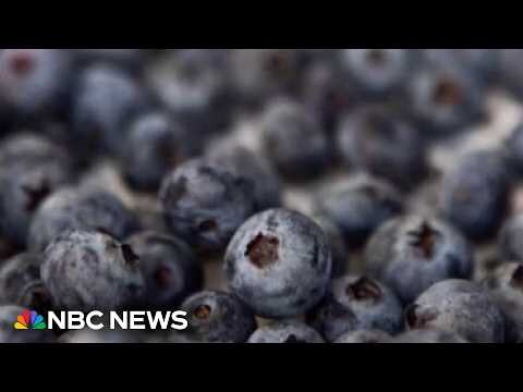 FDA upgrades frozen berry recall to highest risk level