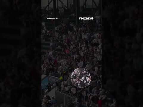 GRAPHIC WARNING: Fan leaps two rows to stomp man during WILD baseball brawl #foxnews #news #shorts