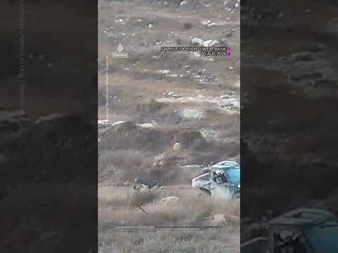 Sanctioned by EU, Israeli settler steals Palestinian donkey, drags it to death
