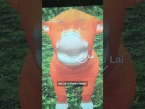 China loves this terrible movie. Why?