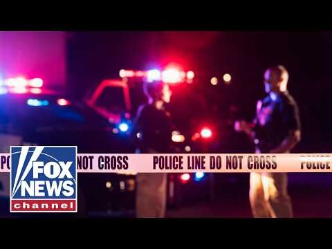 Illegal immigrants CHARGED in brutal Florida murder cases