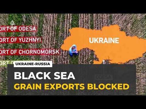 Trapped grain: Ukraine searches for ways around Black Sea shutdown