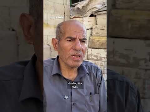 Gaza beekeepers struggle to rebuild