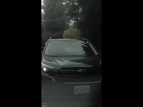 Dashcam captures wild road rage chase in Oregon