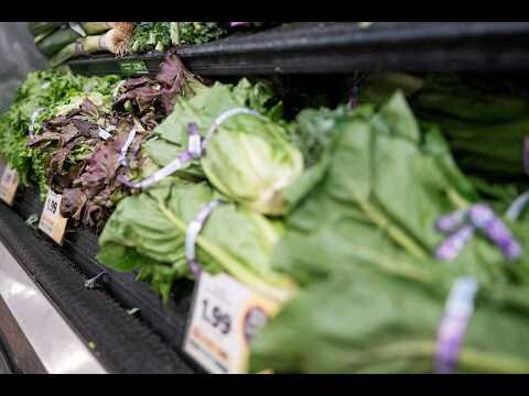 Cyclosporiasis fears hit lettuce sales and restaurant traffic