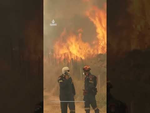 Two helicopters collide mid-air while tackling wildfires in Greece