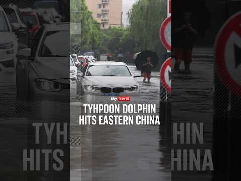 Typhoon Dolphin hits eastern China
