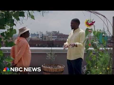 Longtime New Yorker cultivates rooftop garden and community