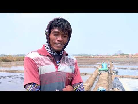 El-Nino is a blessing': Indonesian salt farmers celebrate dry season