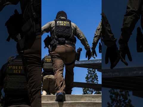 ICE plans to equip agents with electrical shock gloves