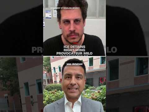 ICE detains right-wing provocateur Milo Yiannopoulos