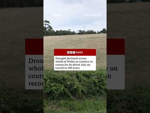 Drought declared across whole of Wales as conditions 'deteriorate'. #Wales #Weather #BBCNews
