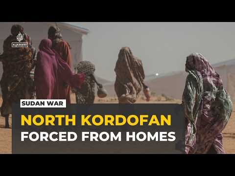 Sudan war: Displaced families recount attacks and forced flight in North Kordofan