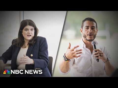 Divided Democrats face critical Michigan Senate primary