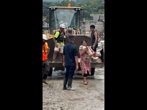Dog reunited with owner after deadly floods in Nepal