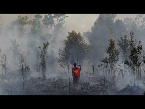 Teenage 'Superman' fights forest fires to save home in Indonesia
