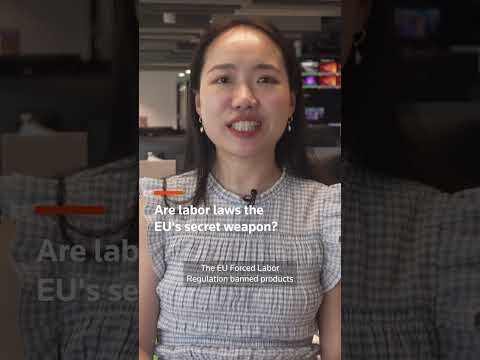 What do China-EU trade talks have to do with China's '996' workers?