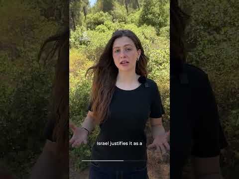 Why is Israel arming illegal settlers?