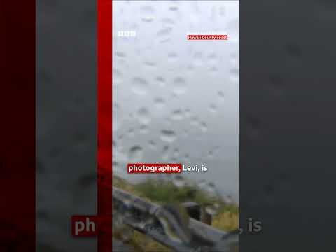 It's actually hard for us to see', says reporter as Hurricane Lala looms. #Hawaii #BBCNews