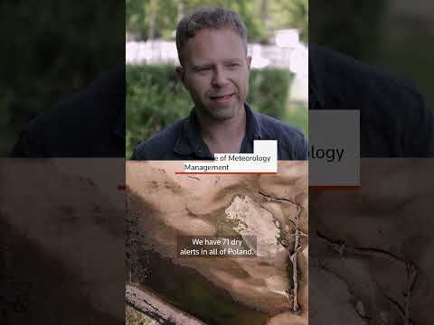 Drought exposes shipwrecks, 'hunger stones' in European rivers