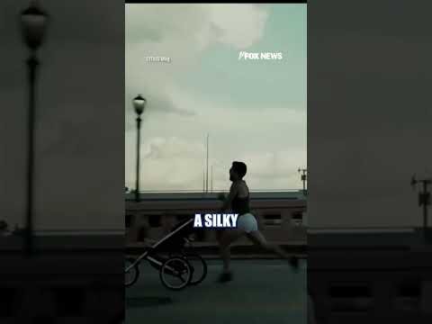 Dad BREAKS world record with 4:14 baby stroller mile #shorts #foxnews #us