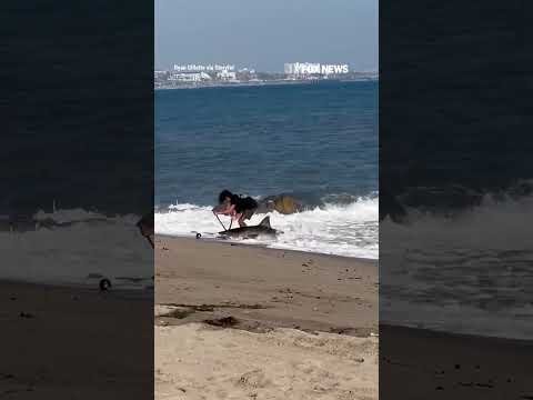 Los Angeles fisherman releases SHARK back into ocean #foxnews #news #us #fox