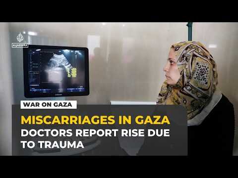 Miscarriages in Gaza: Doctors report increase due to trauma