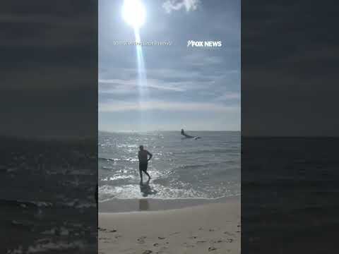 Small plane PLUNGES into ocean #shorts
