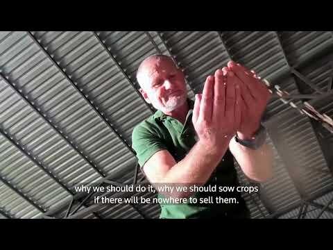 How Russia's Black Sea blockade is causing grain crisis