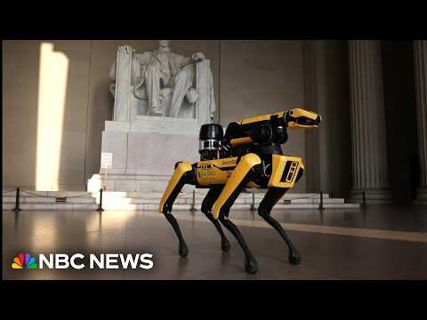 ICE plans to buy robot ‘dogs’ for some immigration enforcement operations