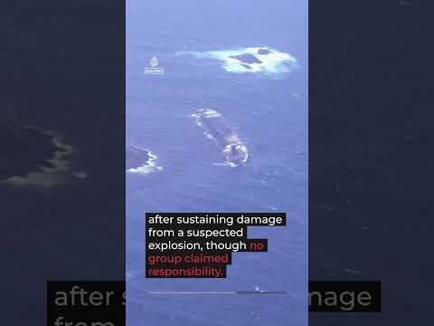 Cleanup underway as Russian oil spill reaches Oman's coastline