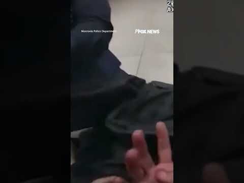 SEE IT: Cops nab suspect while eating lunch #foxnews #news #shorts #police #crimenews #restaurant