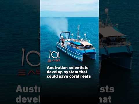 Australian scientists develop system that could save coral reefs