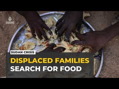 Sudan’s displaced families face hunger and repeated displacement, Norwegian Refugee Council warns