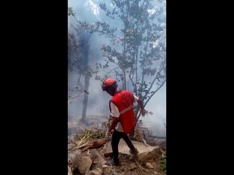 Four Americans killed in helicopter crash in Kenya