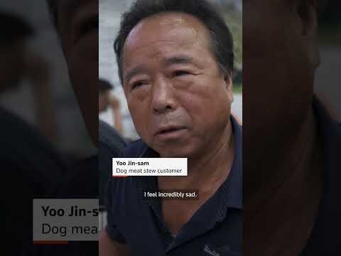 The last summer of South Korea's dog meat trade