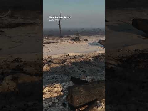 Aerial view of France's charred forest