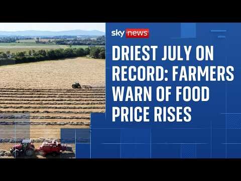 Driest July on record: Why farmers are warning of likely food price rises